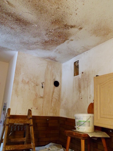 Malování kuchyně po výbuchu hrnce, Trutnov